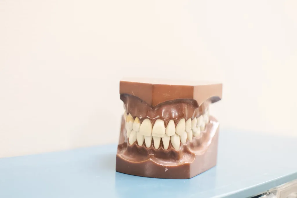 Dentures on display